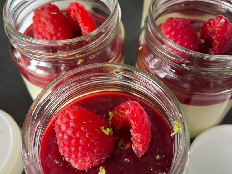 recette panna cotta facile, rapide et pas cher avec agar agar, vanille et coulis de framboise